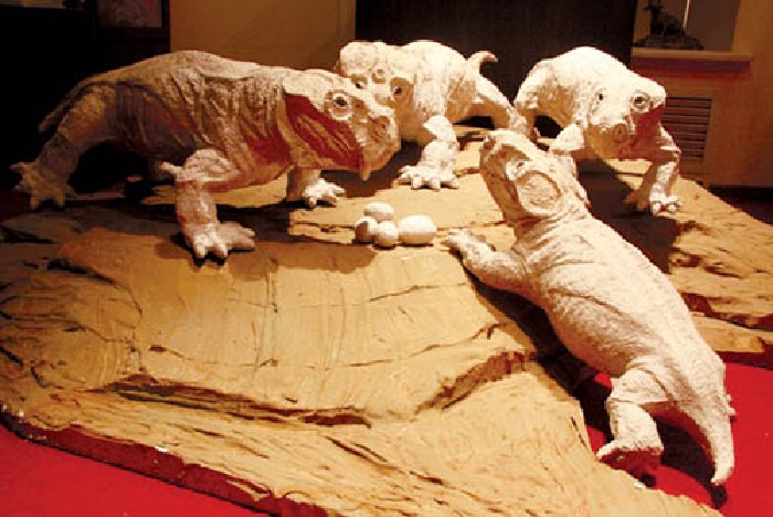 Дицинодонты в экспозиции Вятского палеонтологического музея